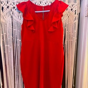 Pinkblush Red MATERNITY dress.